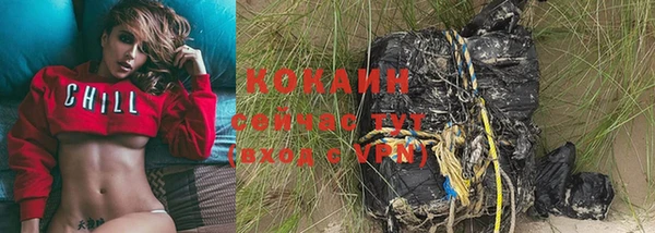 мяу мяу кристалл Няндома